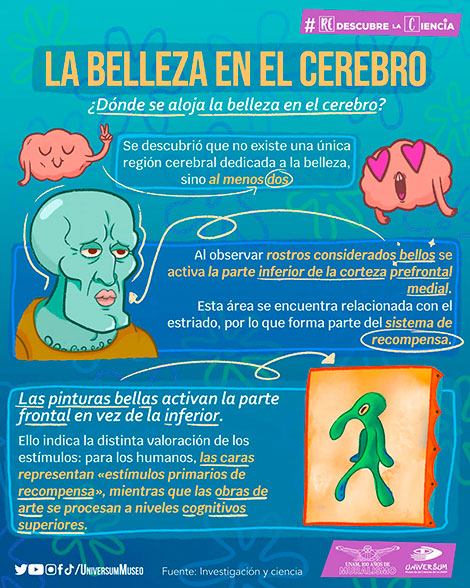 Belleza infografía