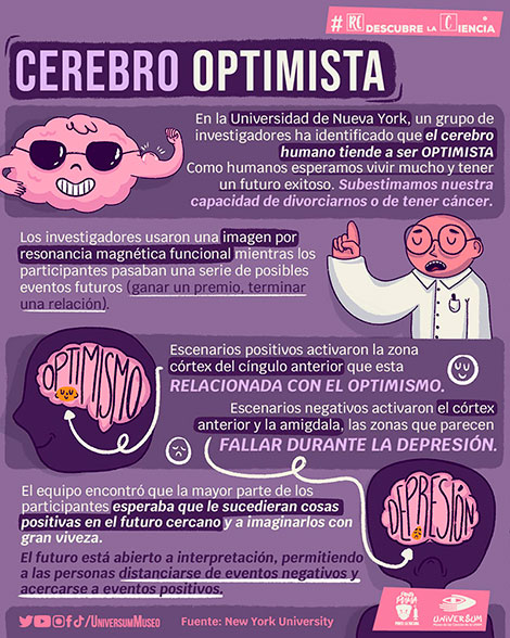 Cerebro-infografía